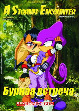 Порно комикс Соник. Бурная встреча